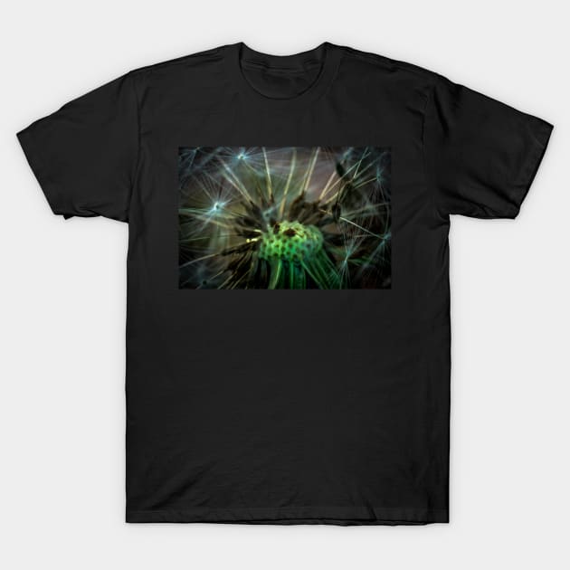 Macro Dandelion #1 T-Shirt by axp7884